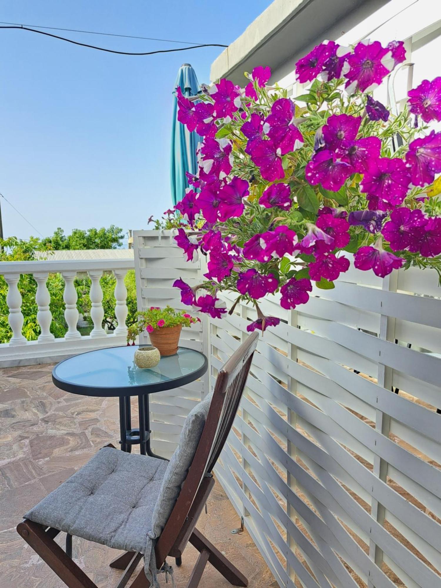Pirgos Psilonerou Garden Rooms מראה חיצוני תמונה
