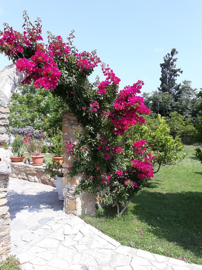 Pirgos Psilonerou Garden Rooms מראה חיצוני תמונה